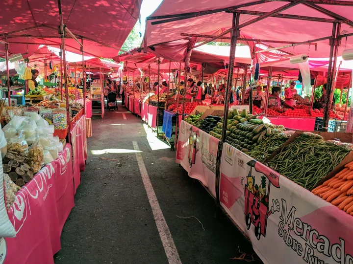 A tianguis street market in the Condesa district of Mexico City