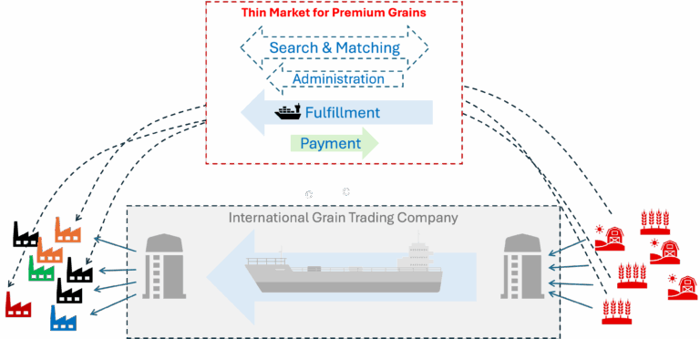 Thick and thin market structure in grain trade